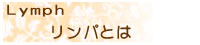 リンパのご紹介。青森県弘前市のラピスのリンパはゴットハンドと呼ばれるほど大人気です。